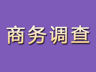 雷山商务调查